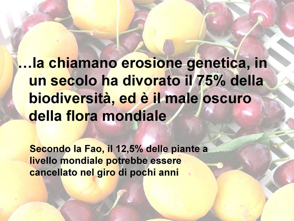 flora mondiale Secondo la Fao, il 12,5% delle piante a