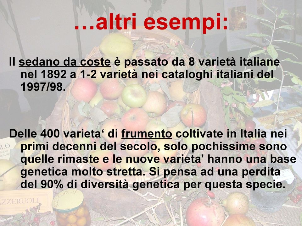 Delle 400 varieta di frumento coltivate in Italia nei primi decenni del secolo, solo