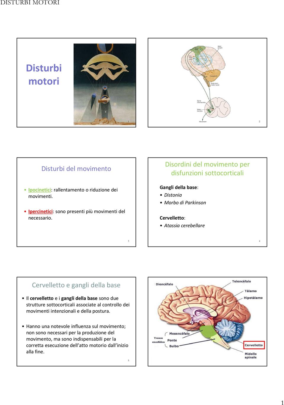 della base Il cervellettoe i gangli della base sono due strutture sottocorticali associate al controllo dei movimenti intenzionali e della postura.