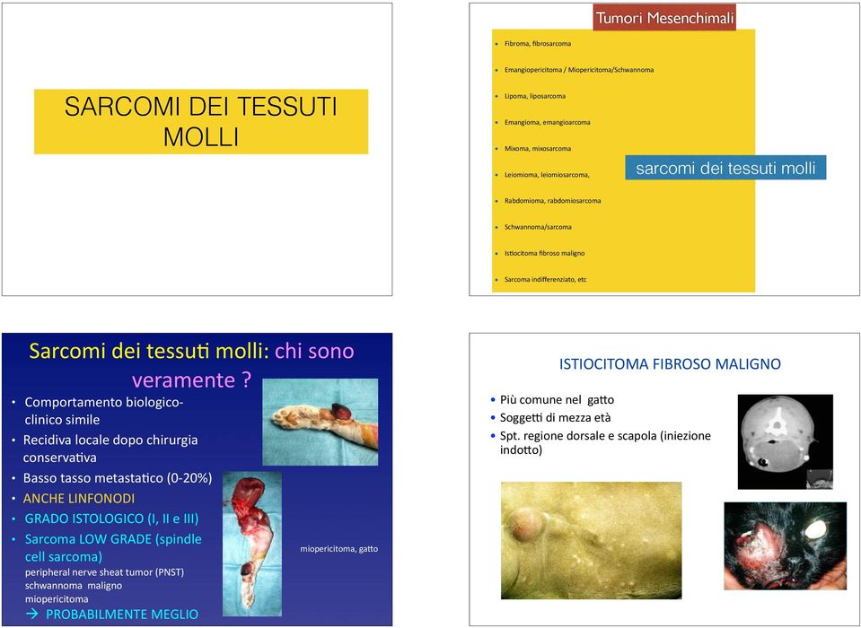 Comportamento biologico- clinico simile Recidiva locale dopo chirurgia conserva/va Basso tasso metasta/co (0-20%) ANCHE LINFONODI GRADO ISTOLOGICO (I, II e III) Sarcoma LOW GRADE (spindle cell