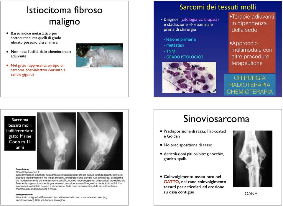 biopsia) e stadiazione à essenziale prima di chirurgia - lesione primaria - metastasi - TNM - GRADO ISTOLOGICO Terapie adiuvanti in dipendenza della sede Approccio multimodale con altre procedure