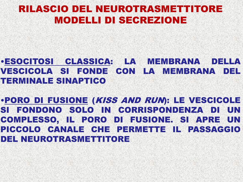 (KISS AND RUN): LE VESCICOLE SI FONDONO SOLO IN CORRISPONDENZA DI UN COMPLESSO, IL