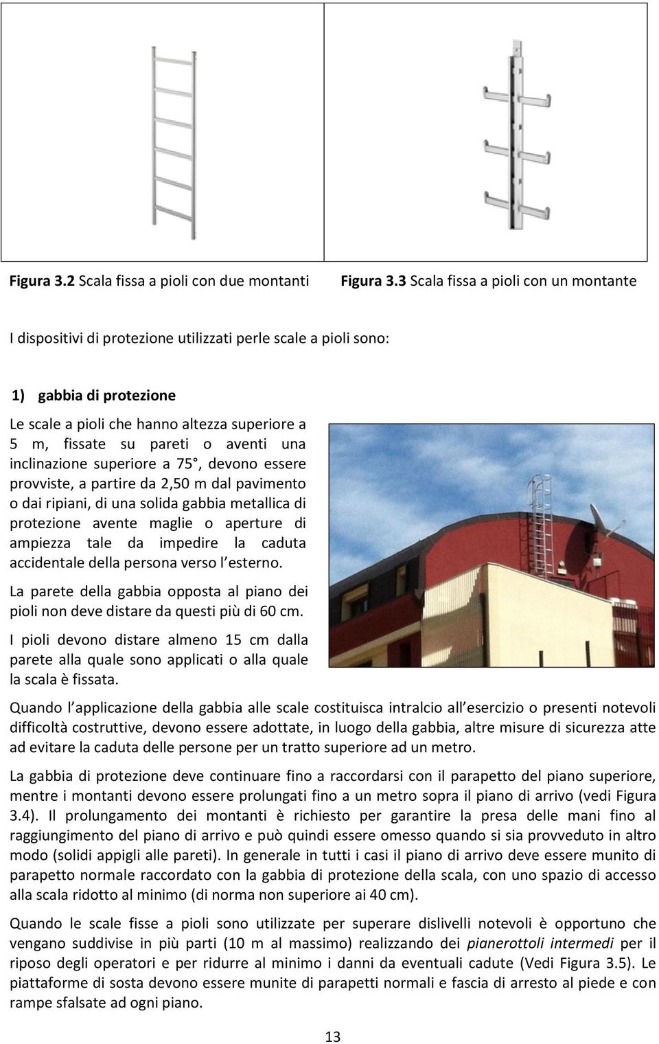 aventi una inclinazione superiore a 75, devono essere provviste, a partire da 2,50 m dal pavimento o dai ripiani, di una solida gabbia metallica di protezione avente maglie o aperture di ampiezza