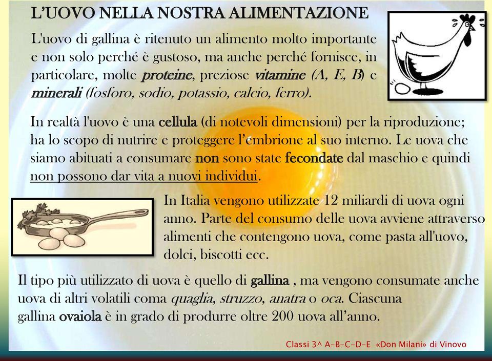 In realtà l'uovo è una cellula (di notevoli dimensioni) per la riproduzione; ha lo scopo di nutrire e proteggere l embrione al suo interno.