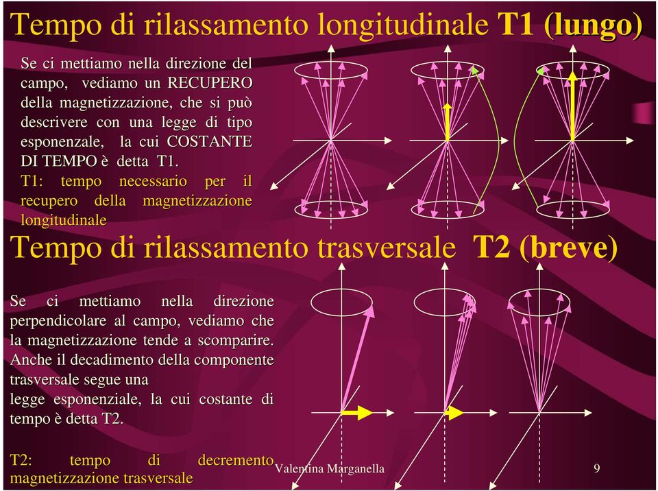 T1: tempo necessario per il recupero della magnetizzazione longitudinale Tempo di rilassamento trasversale T2 (breve) Se ci mettiamo nella direzione