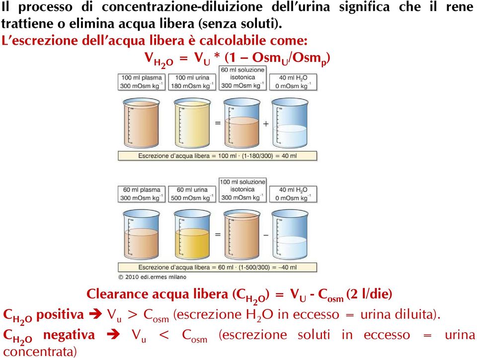 L escrezione dell acqua libera è calcolabile come: V H2 = V U * (1 sm U /sm p ) Clearance acqua