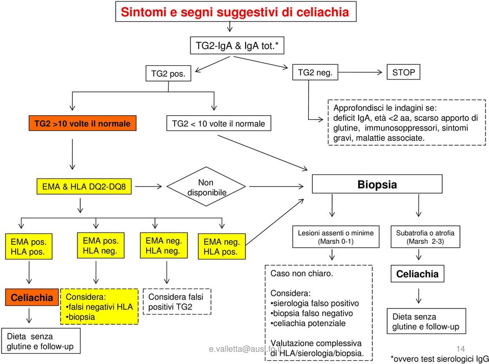 EMA & HLA DQ2-DQ8 Non disponibile Biopsia EMA pos. HLA pos. EMA pos. HLA neg. EMA neg. HLA neg. EMA neg. HLA pos. Lesioni assenti o minime (Marsh 0-1) Subatrofia o atrofia (Marsh 2-3) Caso non chiaro.