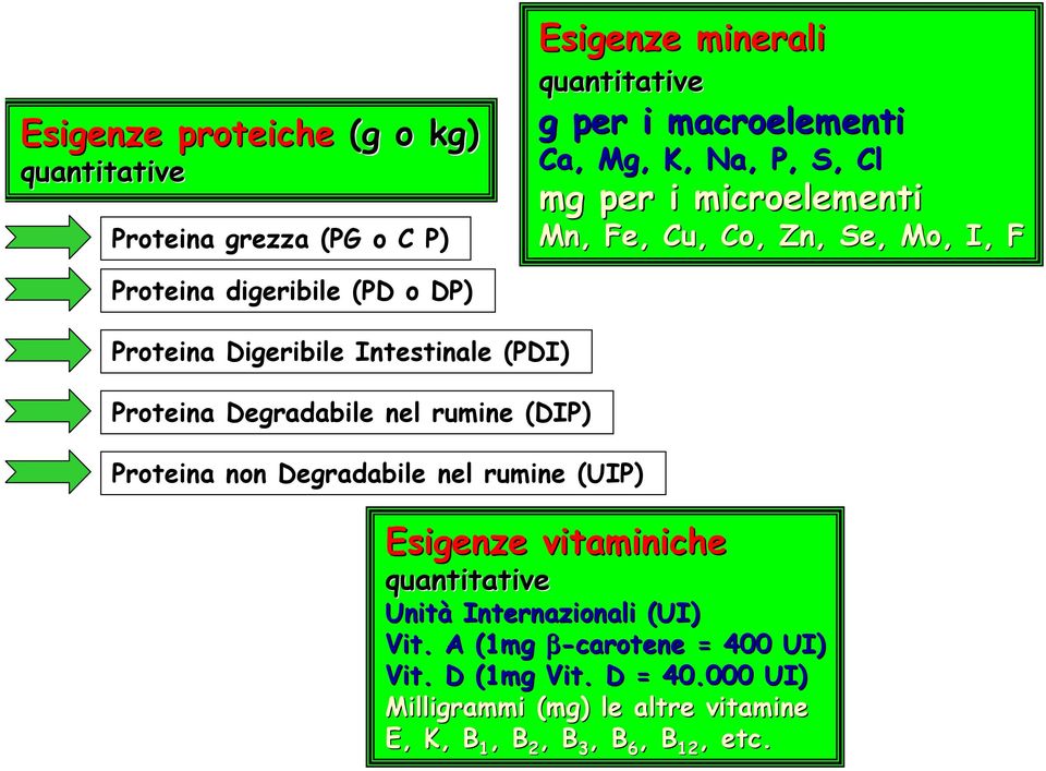 Proteina Degradabile nel rumine (DIP) Proteina non Degradabile nel rumine (UIP) Esigenze vitaminiche quantitative Unità Internazionali