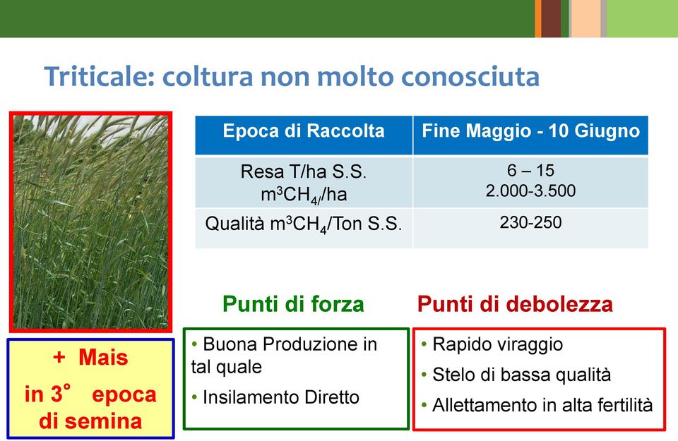 S. m 3 CH 4/ /ha 6 15 2.000-3.500 Qualità m 3 CH 4 /Ton S.S. 230-250 + Mais in 3