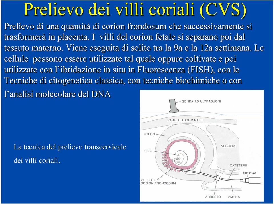 Le cellule possono essere utilizzate tal quale oppure coltivate e poi utilizzate con l ibridazione in situ in Fluorescenza (FISH),