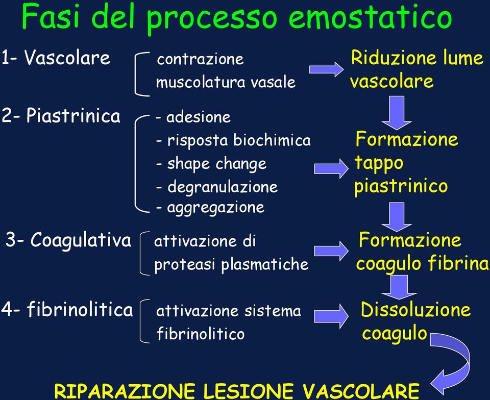 piastrinico - aggregazione 3- Coagulativa attivazione di Formazione proteasi plasmatiche coagulo