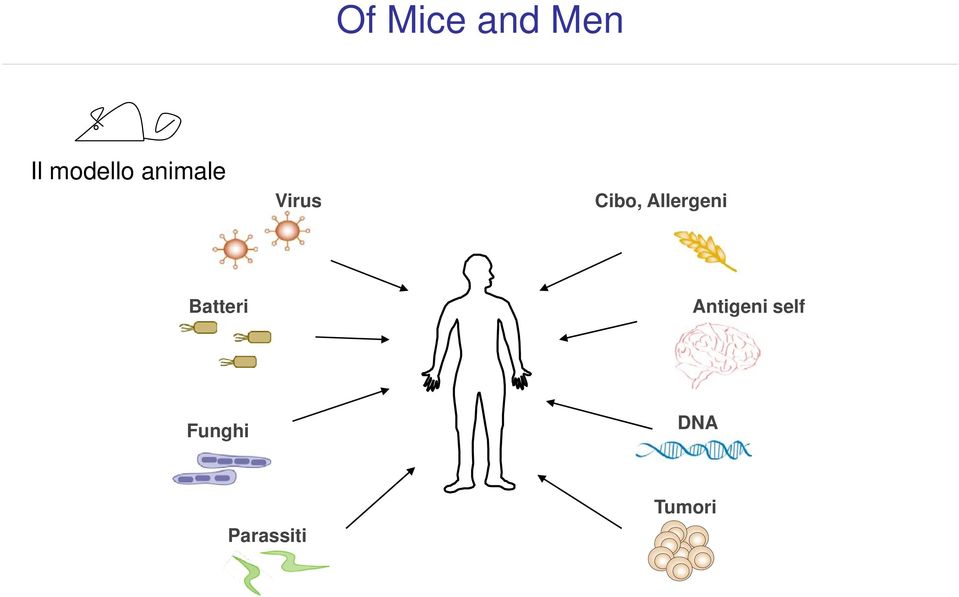 Allergeni Batteri Antigeni