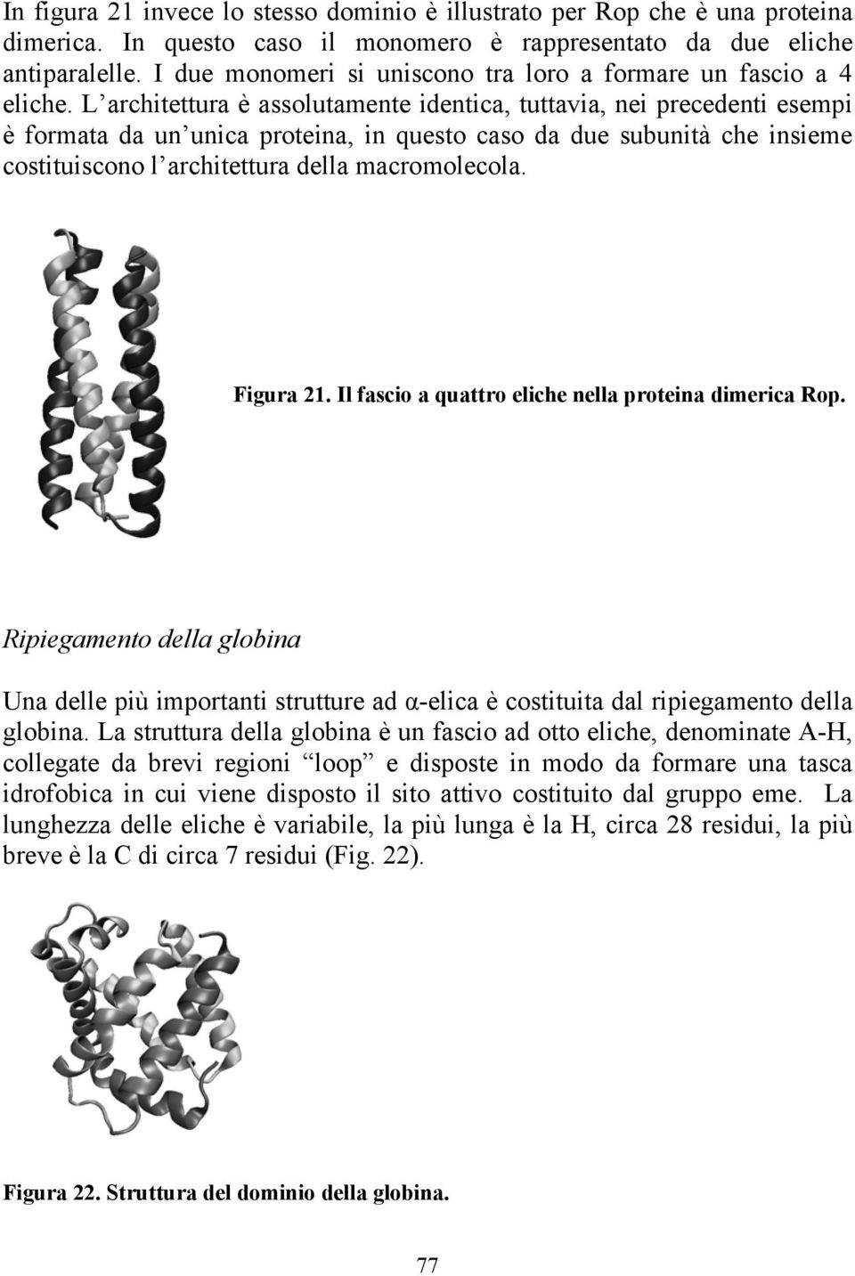 L architettura è assolutamente identica, tuttavia, nei precedenti esempi è formata da un unica proteina, in questo caso da due subunità che insieme costituiscono l architettura della macromolecola.