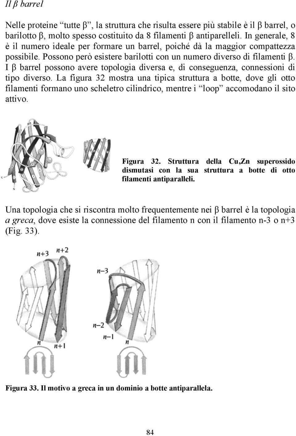 I β barrel possono avere topologia diversa e, di conseguenza, connessioni di tipo diverso.