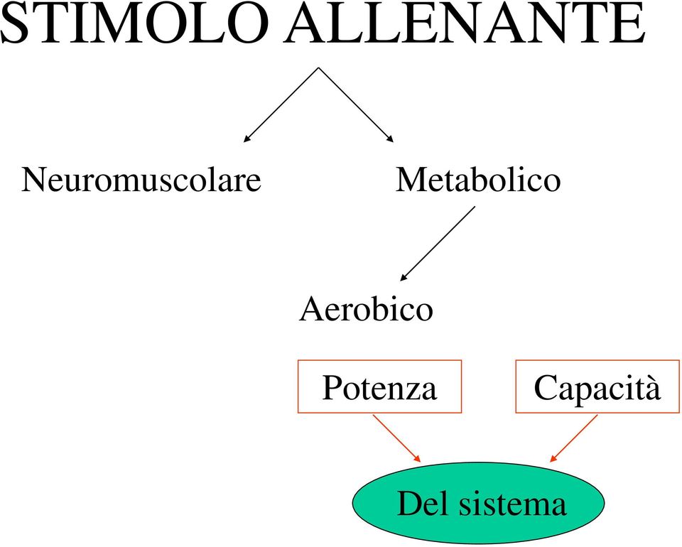 Metabolico Aerobico