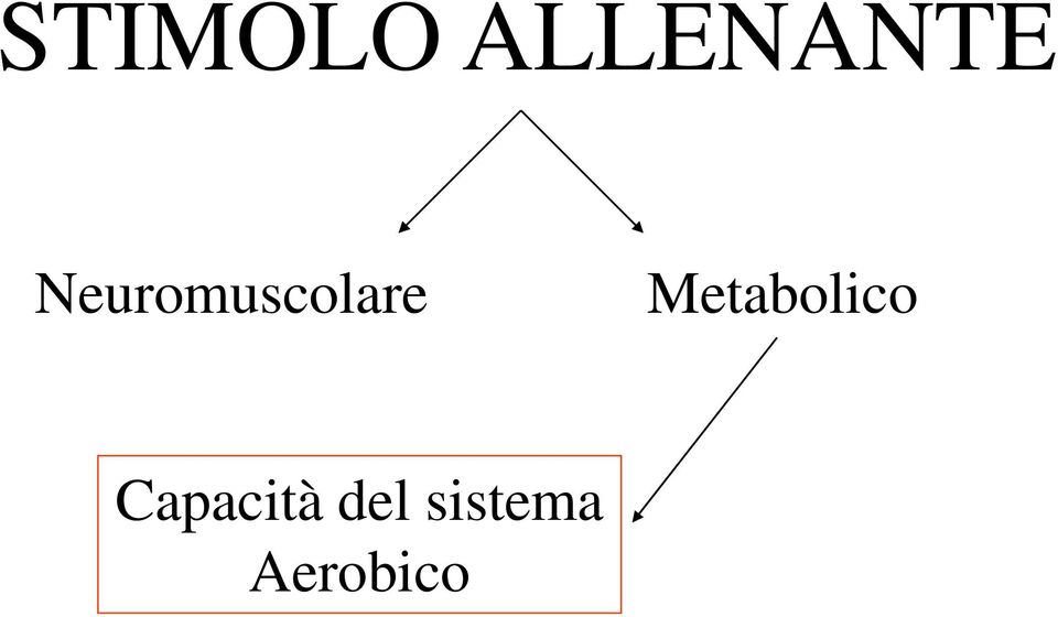 Metabolico