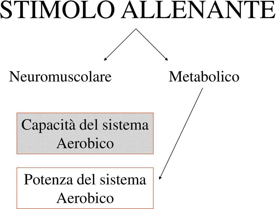 Capacità del sistema