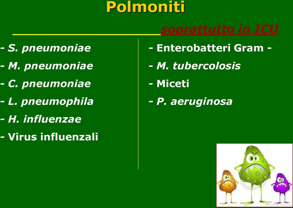 pneumoniae - M. tubercolosis - C.