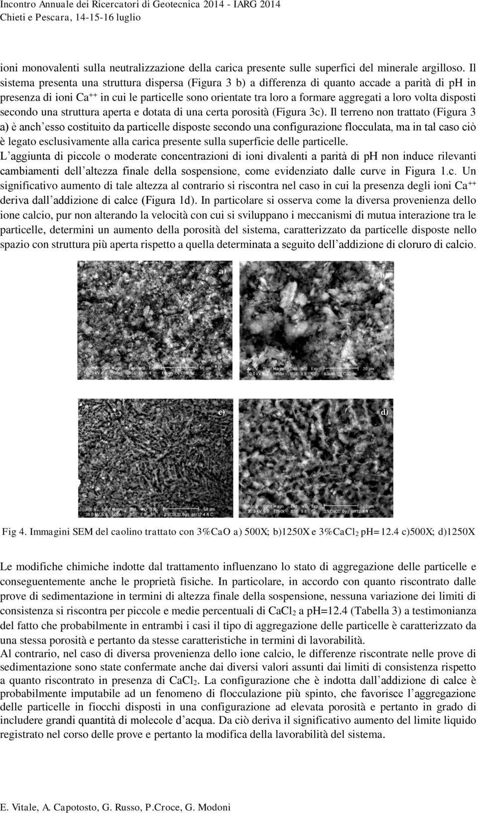 volta disposti secondo una struttura aperta e dotata di una certa porosità (Figura 3c).