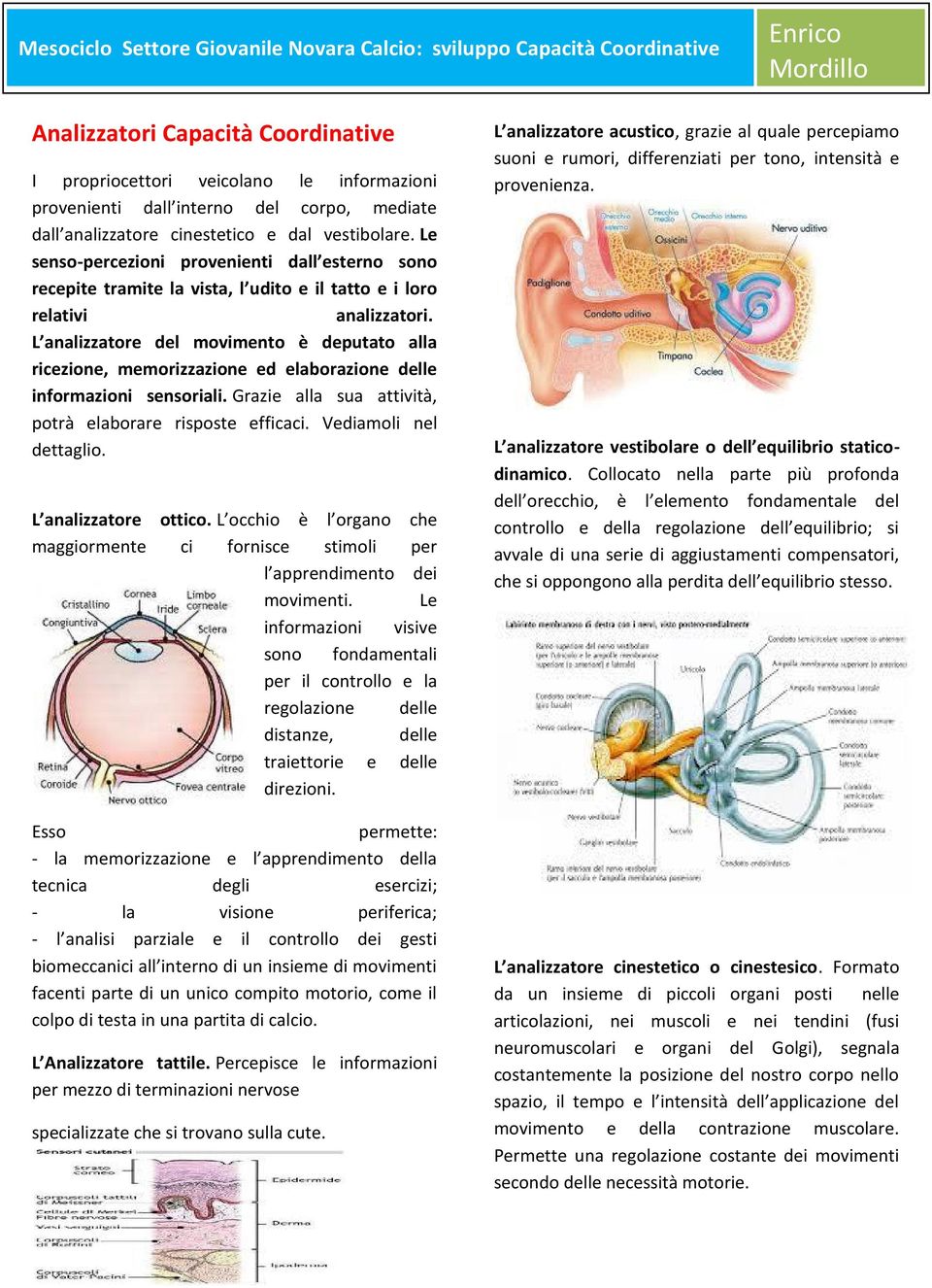 L analizzatore del movimento è deputato alla ricezione, memorizzazione ed elaborazione delle informazioni sensoriali. Grazie alla sua attività, potrà elaborare risposte efficaci.