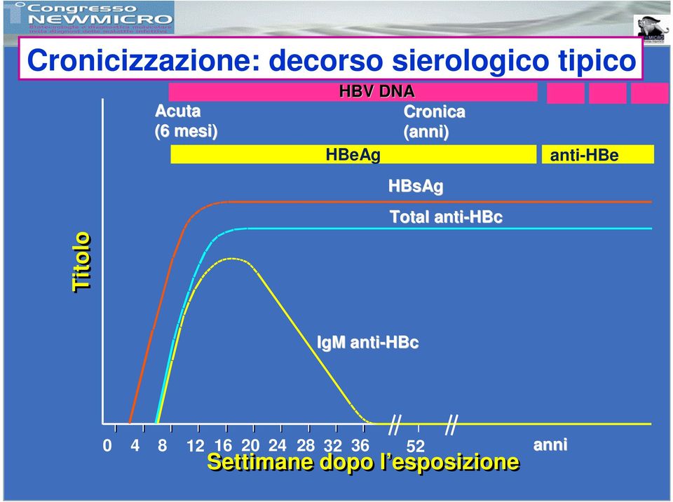 anti-hbc anti-hbe Titolo IgM anti-hbc 0 4 8 12 16