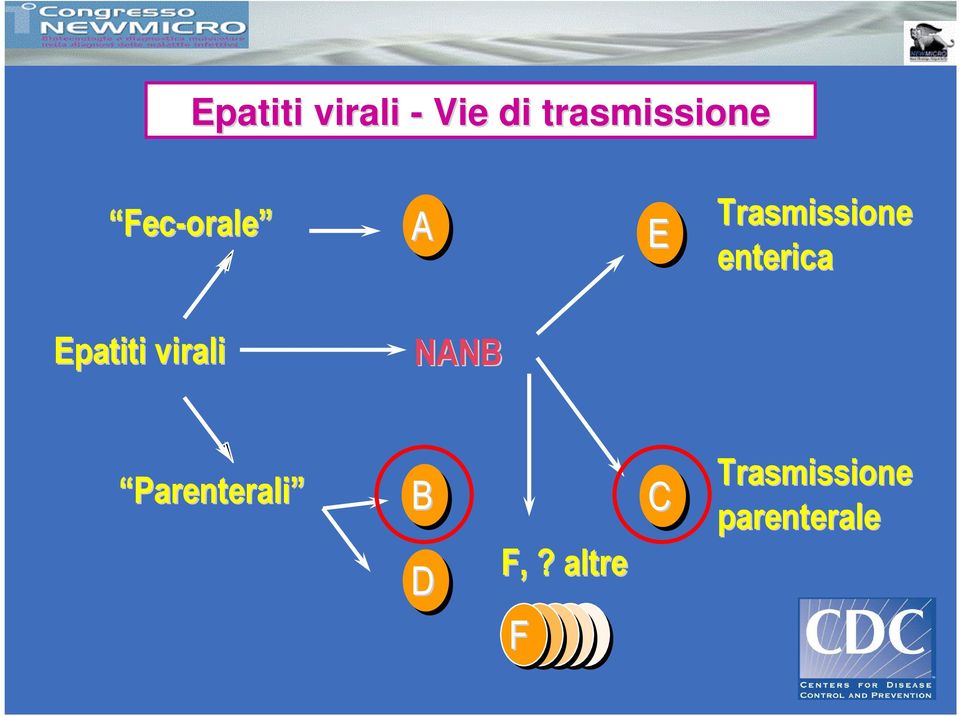 Epatiti virali NANB Parenterali B D