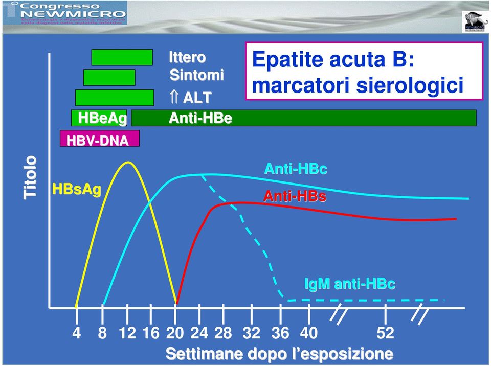 HBsAg Anti-HBc Anti-HBs IgM anti-hbc 4 8 12 16