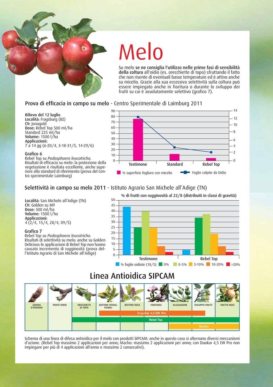 Grazie alla sua eccessiva selettività sulla coltura può essere impiegato anche in fioritura o durante lo sviluppo dei frutti su cui è assolutamente selettivo (grafico 7).