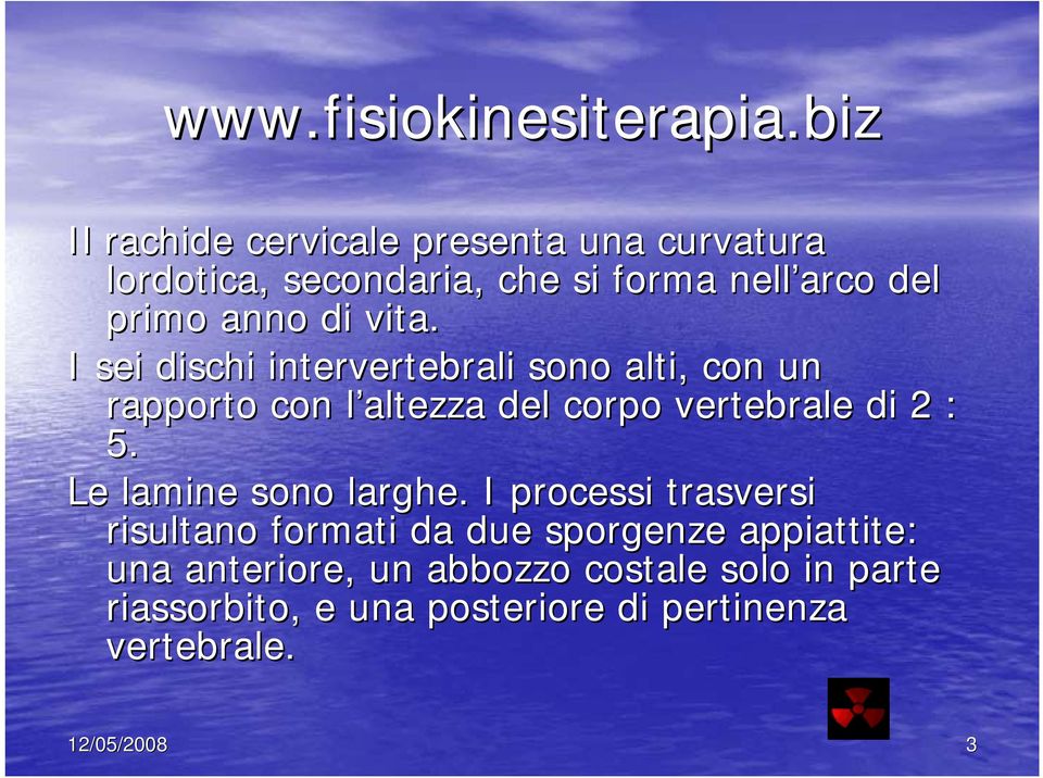 I sei dischi intervertebrali sono alti, con un rapporto con l altezza l del corpo vertebrale di 2 : 5.