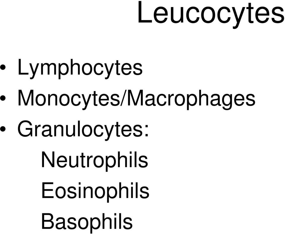 Granulocytes: