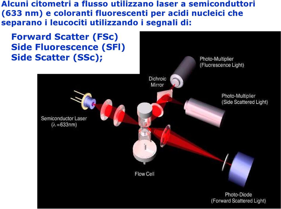 acidi nucleici che separano i leucociti utilizzando i