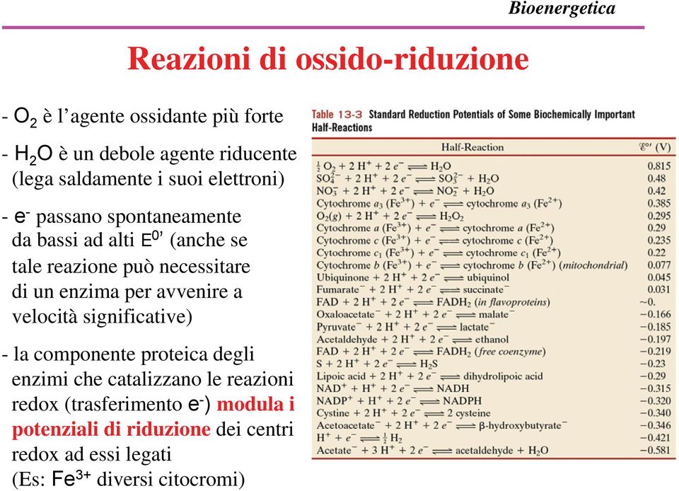 necessitare di un enzima per avvenire a velocità significative) - la componente proteica degli enzimi che