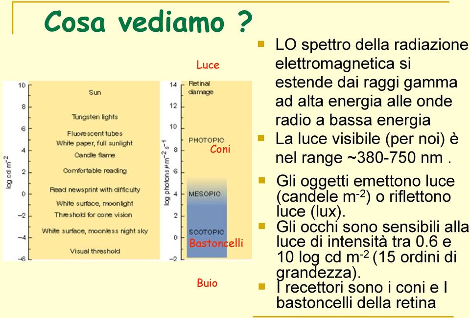 energia alle onde radio a bassa energia La luce visibile (per noi) è nel range ~380-750 nm.