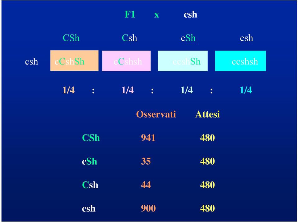 1/4 : 1/4 Osservati Attesi CSh 941