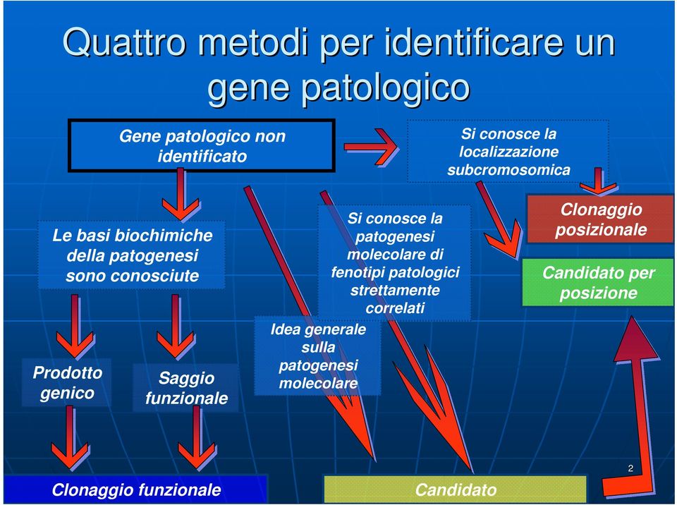 Saggio funzionale Si conosce la patogenesi molecolare di fenotipi patologici strettamente correlati Idea