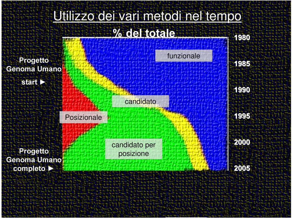 candidato 1990 Posizionale 1995 Progetto Genoma