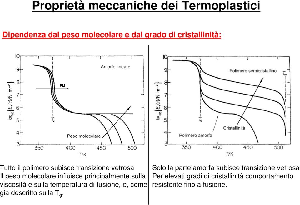 principalmente sulla viscosità e sulla temperatura di fusione, e, come già descritto sulla T g.