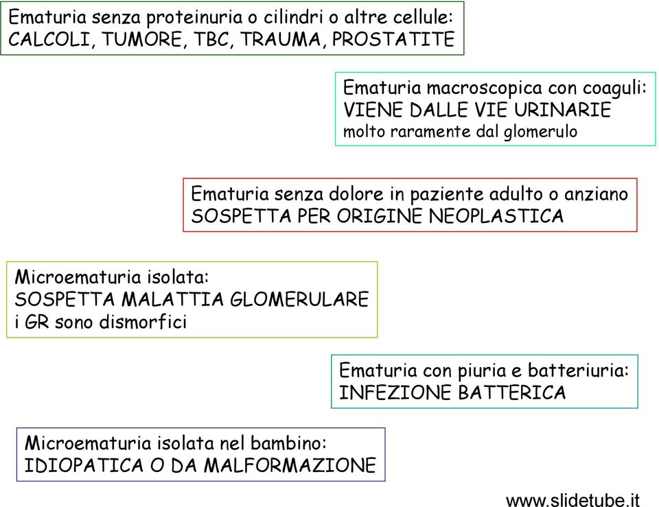 adulto o anziano SOSPETTA PER ORIGINE NEOPLASTICA Microematuria isolata: SOSPETTA MALATTIA GLOMERULARE i GR sono