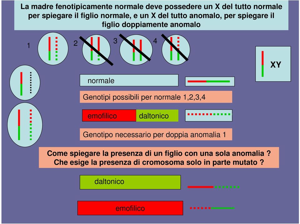 normale 1,2,3,4 emofilico daltonico Genotipo necessario per doppia anomalia 1 Come spiegare la presenza