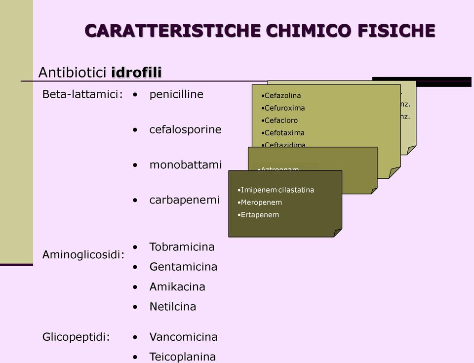 enz. Cefacloro Benzilpenicillina benzatinica Cefotaxima Oxacillina Ceftazidima Ceftriaxone Aztreonam Cefixima Imipenem