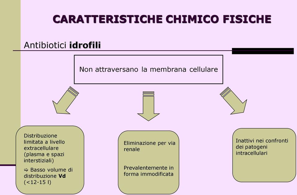 interstiziali) Basso volume di distribuzione Vd (<12-15 l) Eliminazione per via