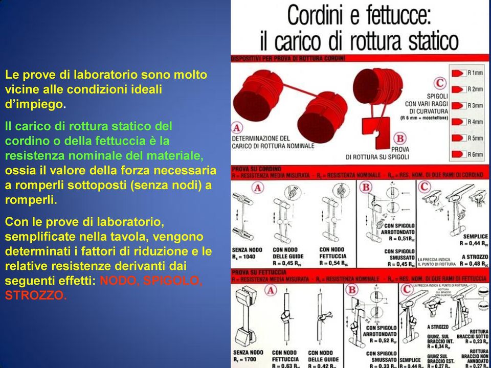 valore della forza necessaria a romperli sottoposti (senza nodi) a romperli.