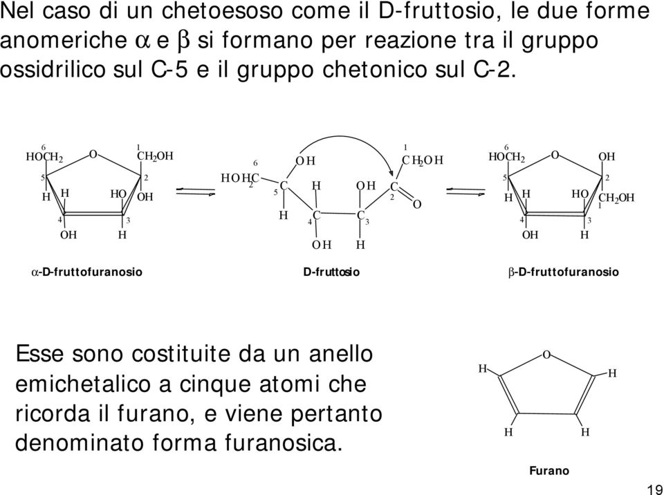 6 2 5 4 3 1 2 2 6 2 5 4 3 2 1 2 6 2 5 4 3 2 2 1 a-d-fruttofuranosio D-fruttosio b-d-fruttofuranosio