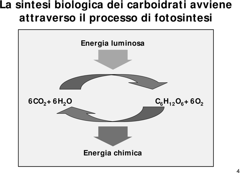 processo di fotosintesi Energia