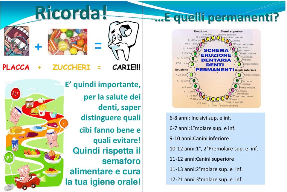 Quindi rispetta il semaforo alimentare e cura la tua igiene orale! 6-8 anni: Incisivi sup. e inf.