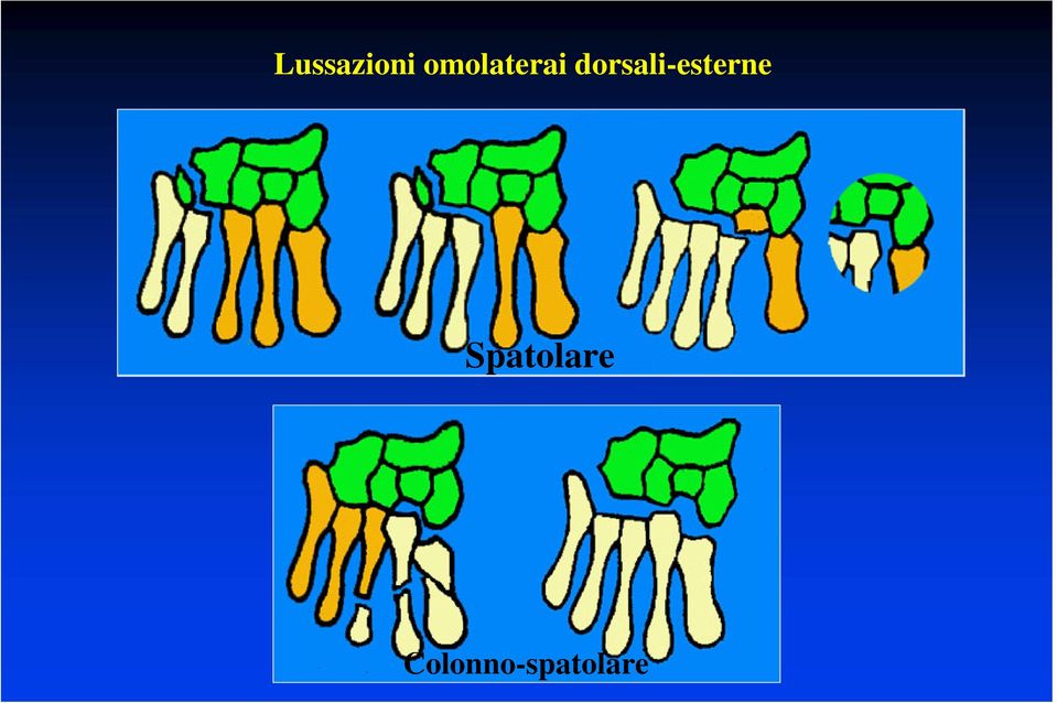 dorsali-esterne