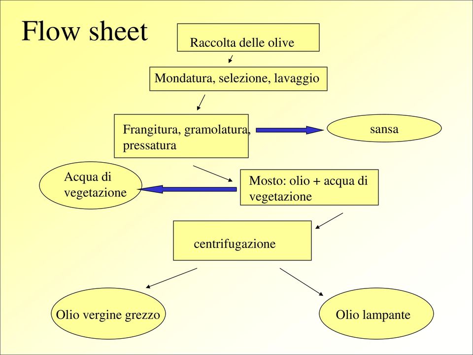 pressatura sansa Acqua di vegetazione Mosto: olio +