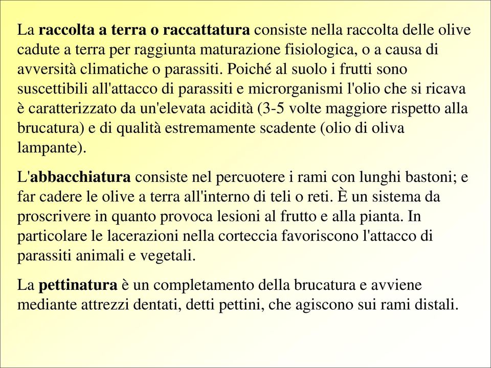 qualità estremamente scadente (olio di oliva lampante). L'abbacchiatura consiste nel percuotere i rami con lunghi bastoni; e far cadere le olive a terra all'interno di teli o reti.