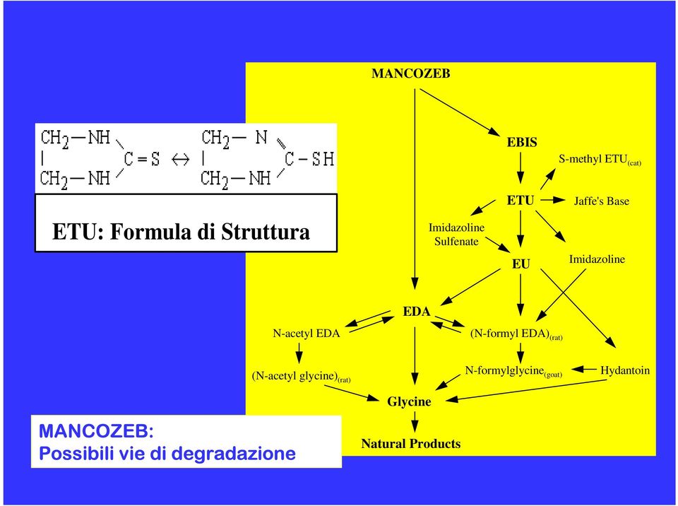 (N-formyl EDA) (rat) (N-acetyl glycine) (rat) N-formylglycine (goat)