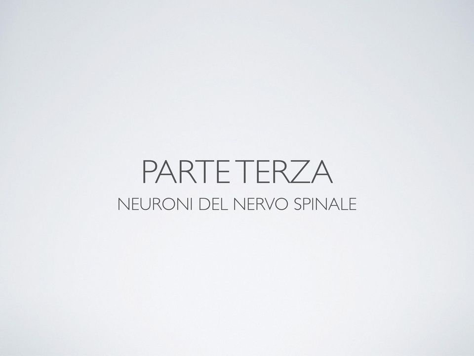 NEURONI